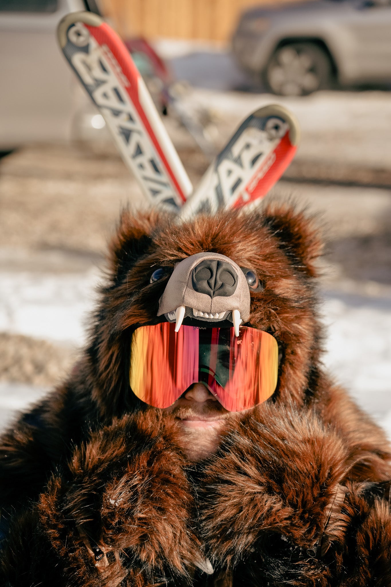 THE GRIZZLY BEAR COAT, v3