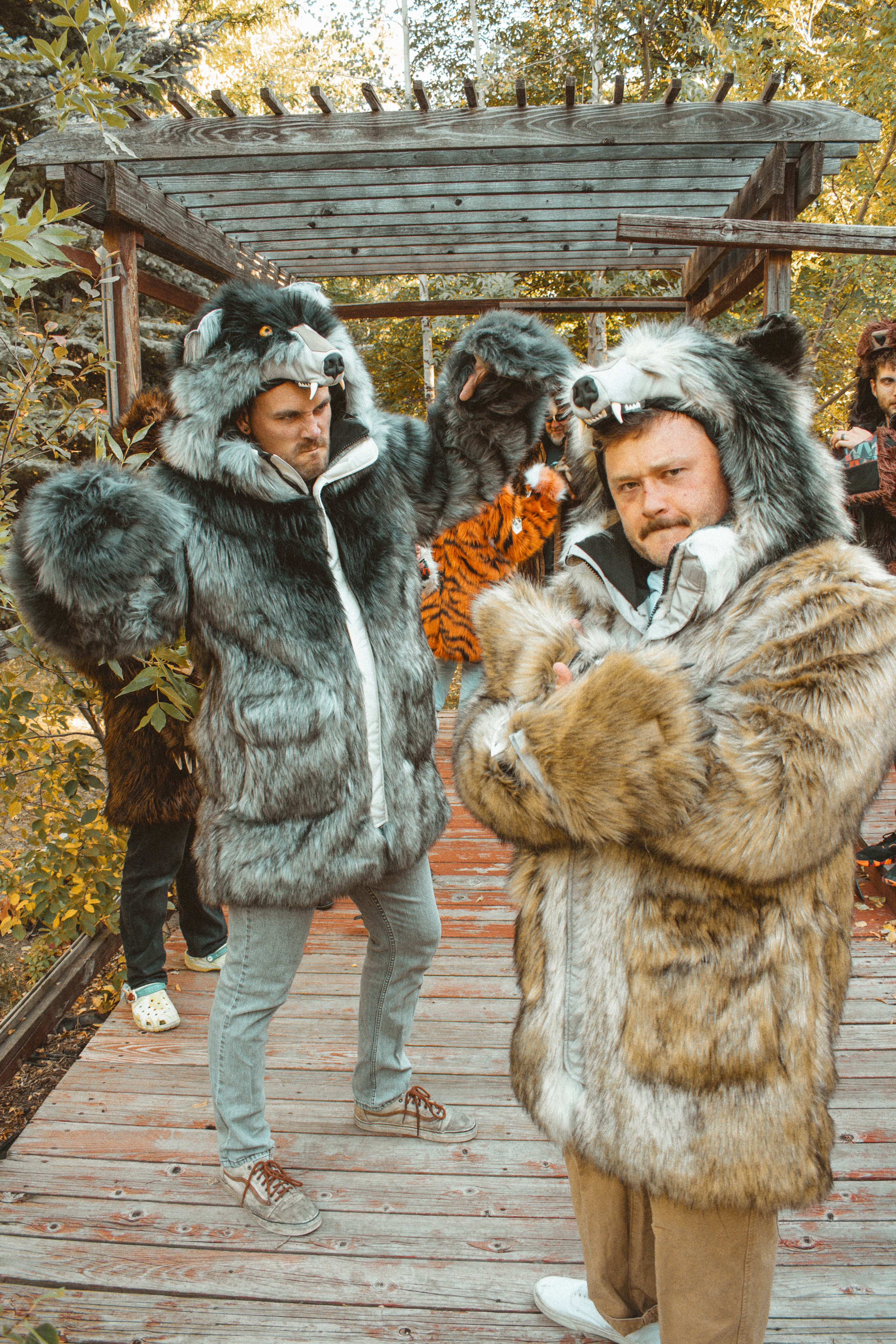 THE TIMBER WOLF COAT, v4