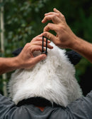 Panda Bearaclava Universal Hood (Preorder)