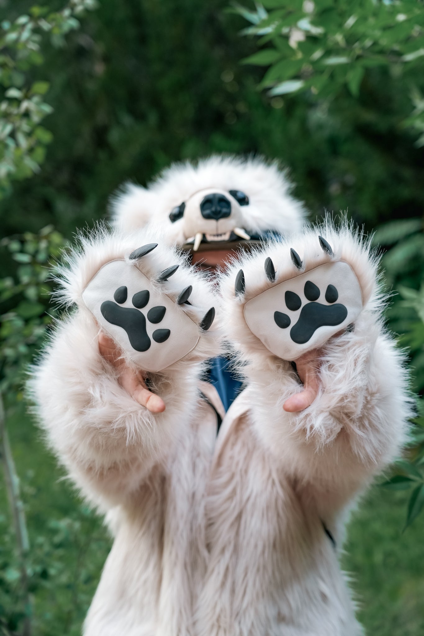 Polar top bear coat