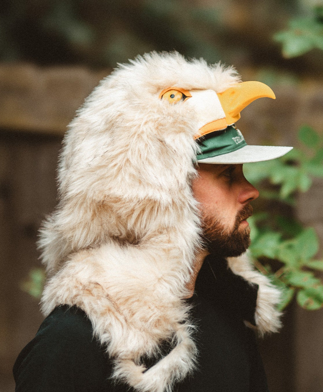 THE EAGLE HOOD