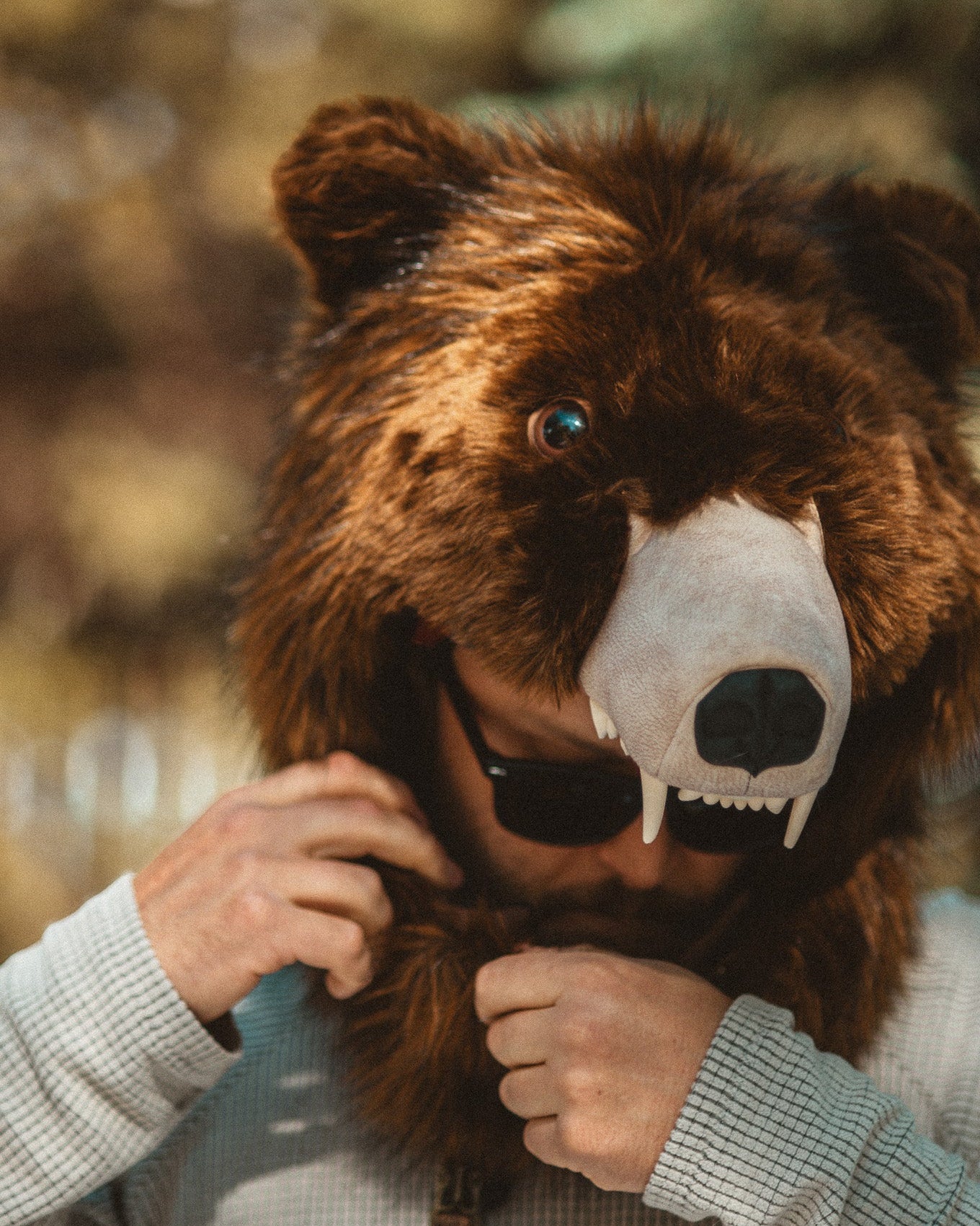 The wildcoat grizzly bearaclava v6, wearer is attaching the magnetic collars to close the hood