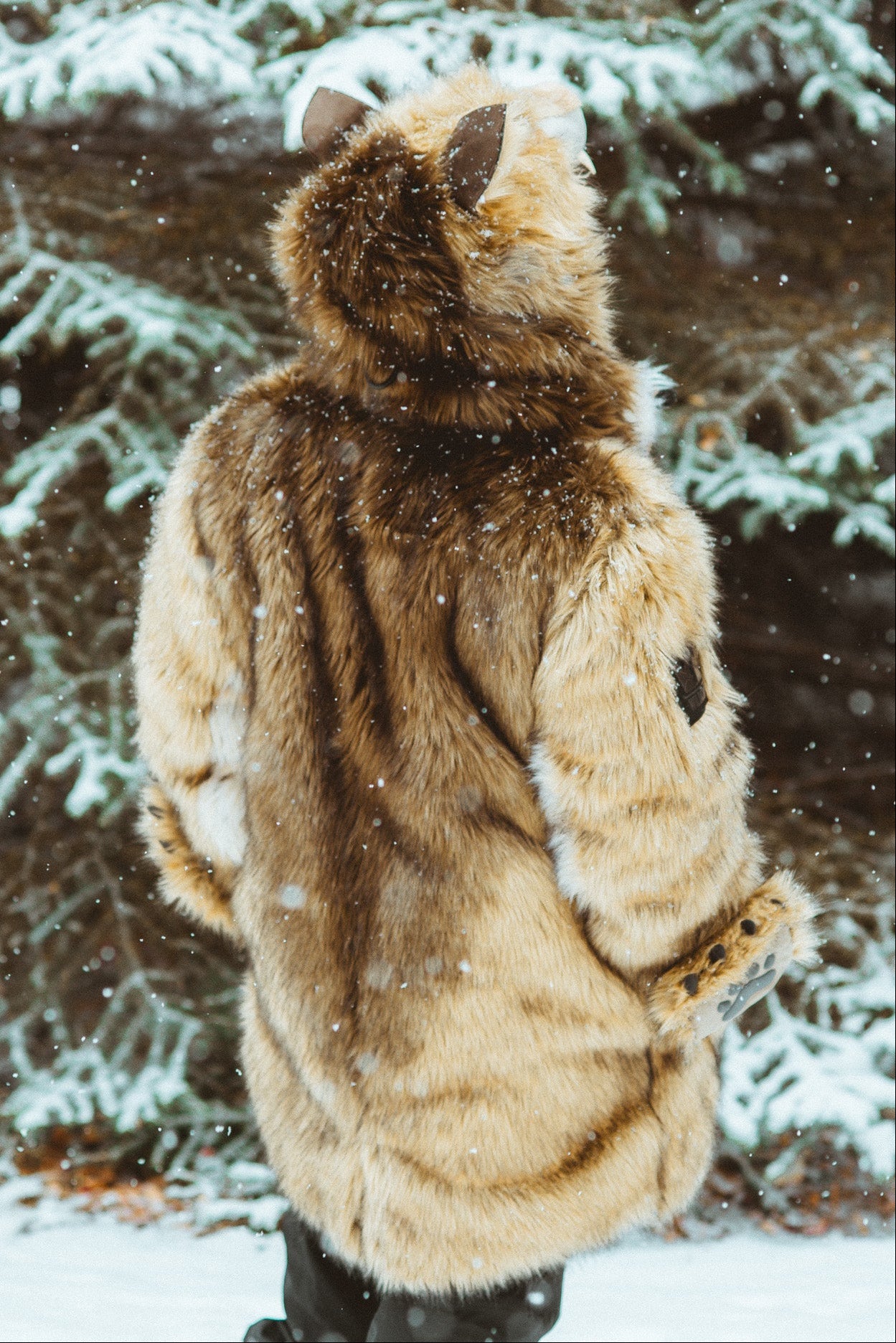 THE WILD WOLF COAT, v5