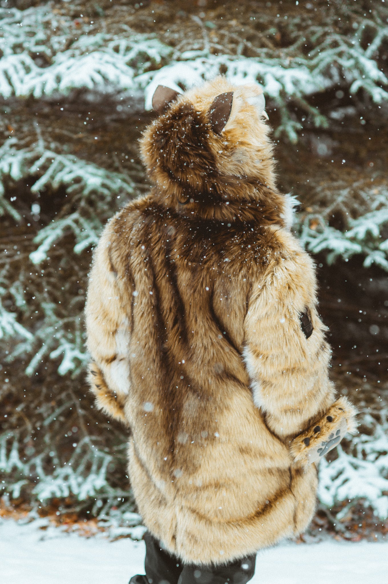 THE WILD WOLF COAT, v5