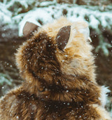 THE WILD HOWL COWL, v5