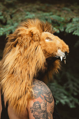 THE LION HOOD