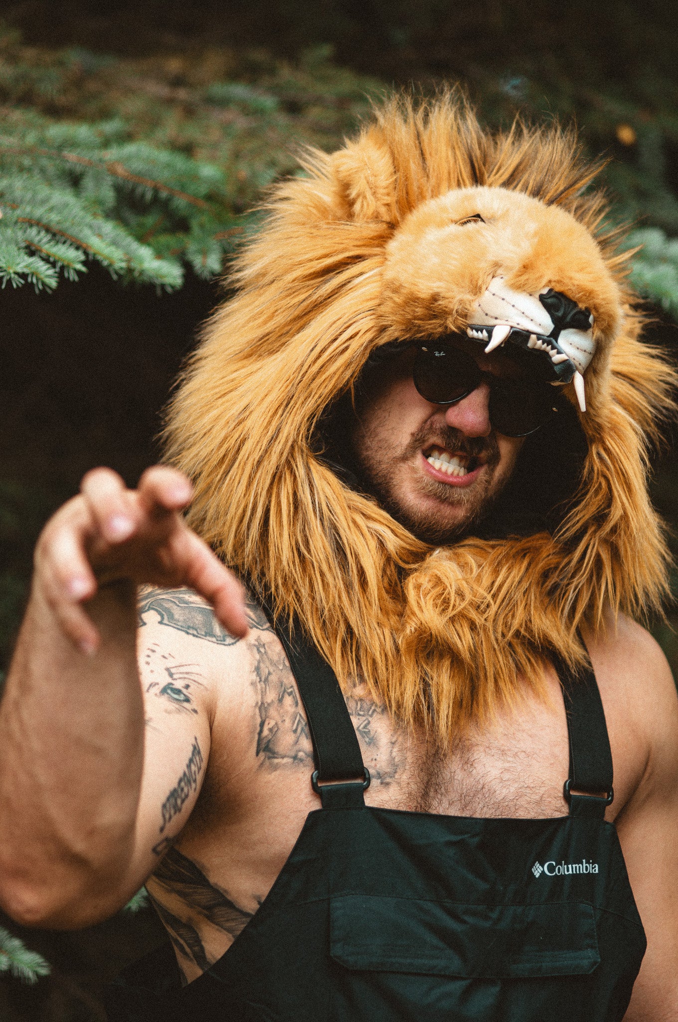 THE LION HOOD