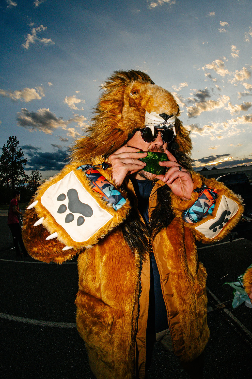 THE LION COAT, v6