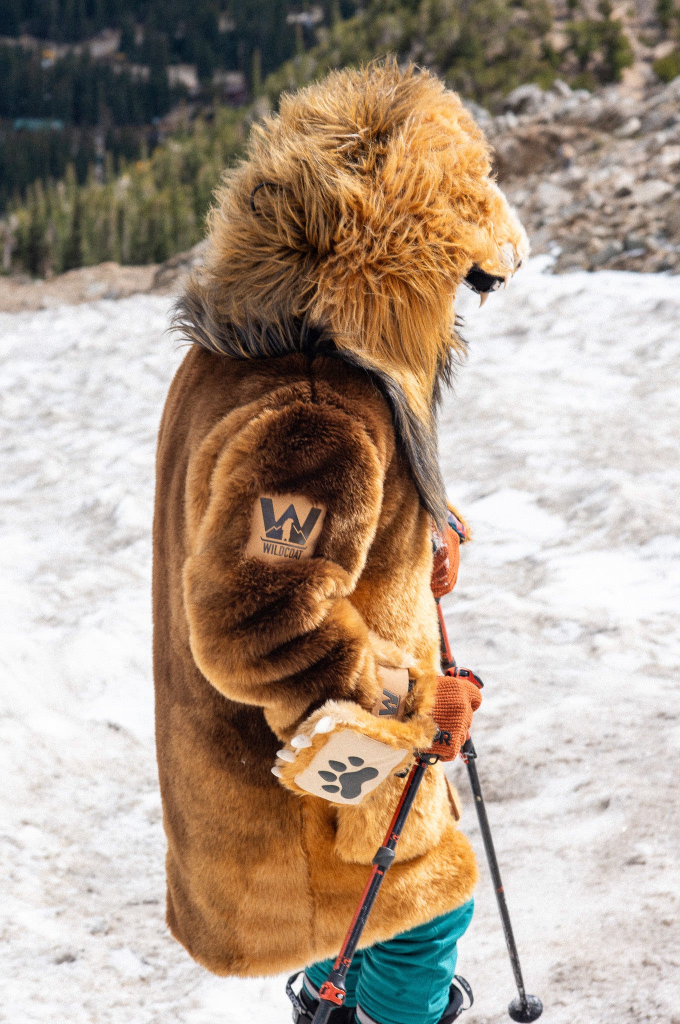 THE LION COAT, v5
